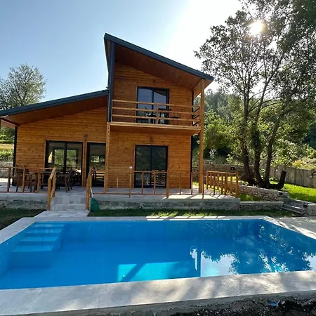 Oasis
